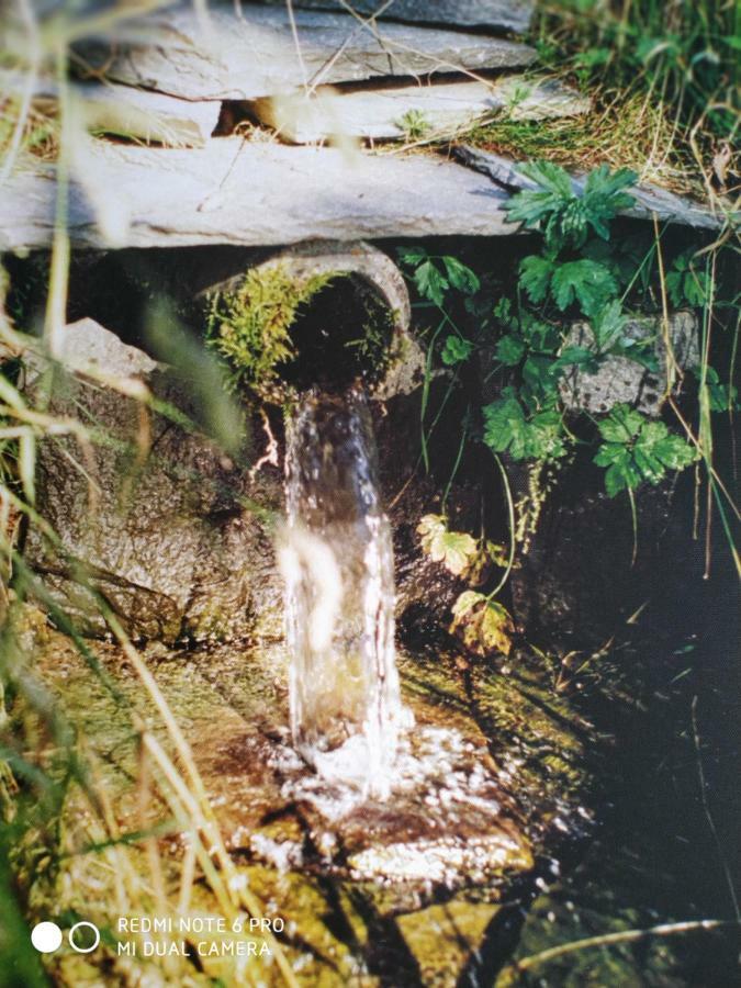 ReSource Leilighet Le Chambon-sur-Lignon Eksteriør bilde